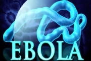 Thông tin dịch bệnh Ebola