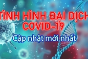 COVID-19 _ Cập nhật lúc 8h00 ngày 15/03/2021