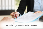 Quyền lợi & Điều kiện chung