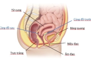 Rách cùng đồ sau quan hệ - hiểm họa khó lường