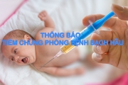 Thông báo Về việc tiêm chủng phòng bệnh Bạch hầu