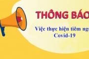 Thông báo "Việc thực hiện tiêm ngừa Covid-19"