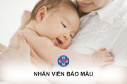 Tuyển dụng Nhân viên bảo mẫu (5/2023)